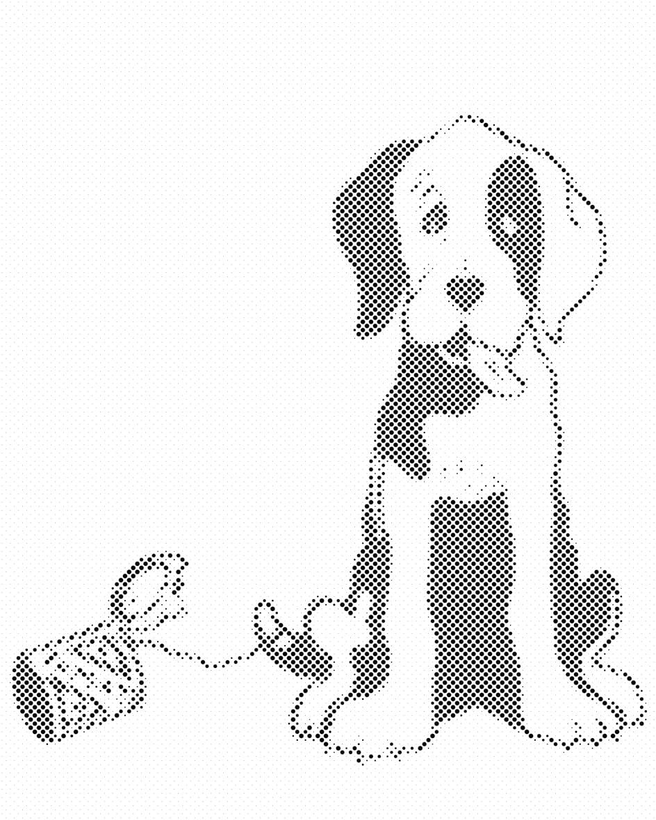 Mal Med Prikker Sjov Hund Uden Ramme -