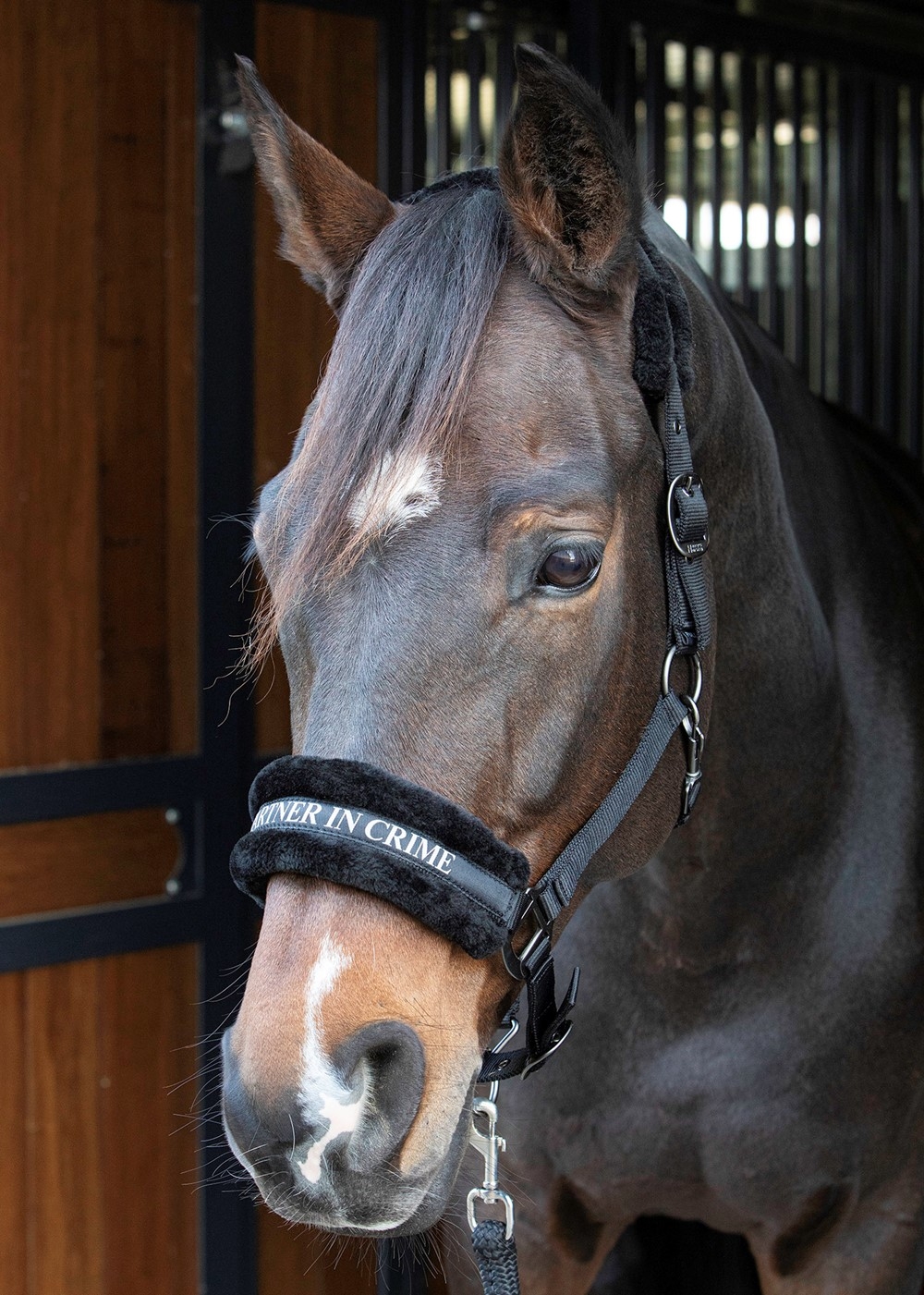 Harryy Horse Grime Med Plys -