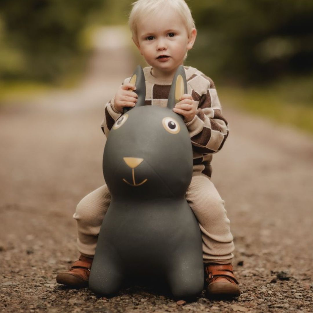 Hoppedyr Kanin Antracit Grå Sjov Aktiv & Motorisk Leg - Find That Hippo  - 5740017401180