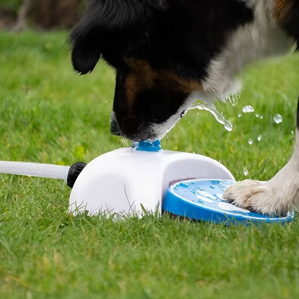 Interaktiv Vandfontæne til Hunde – Sjov Drikkeoplevelse!